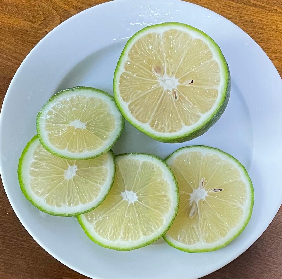 石垣島産　完全無農薬マイヤーレモン１０キロ