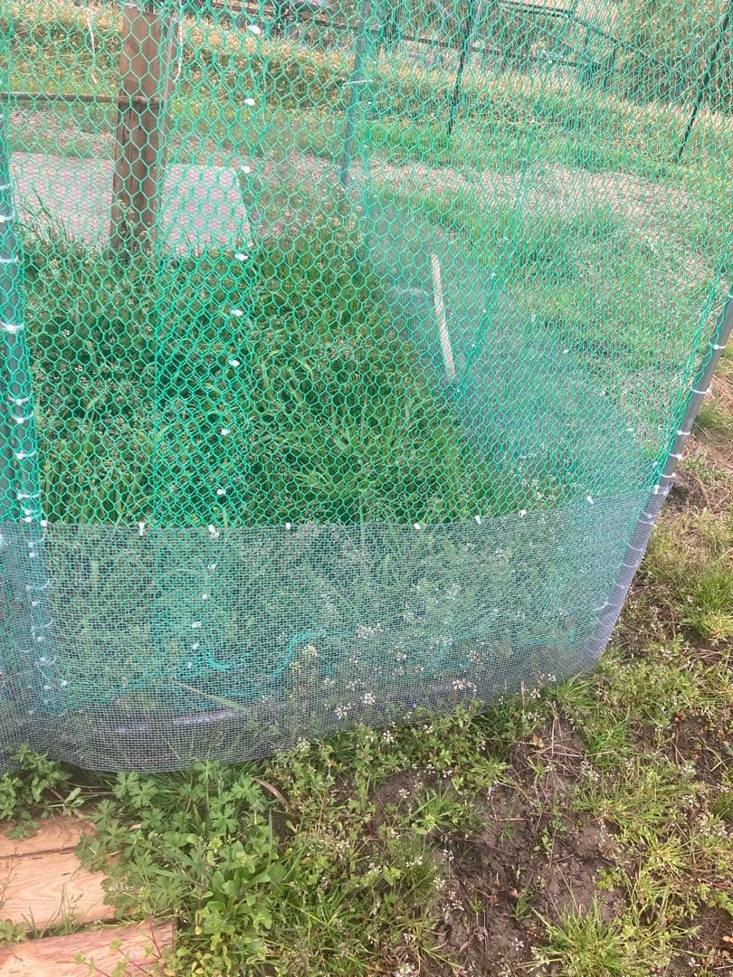 鶏や小動物用飼育ケージ 6㎡