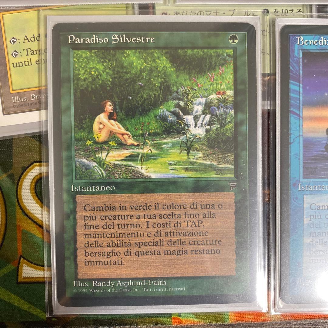 EDH 有翼の叡智、ナドゥ 必須パーツ 13枚セット