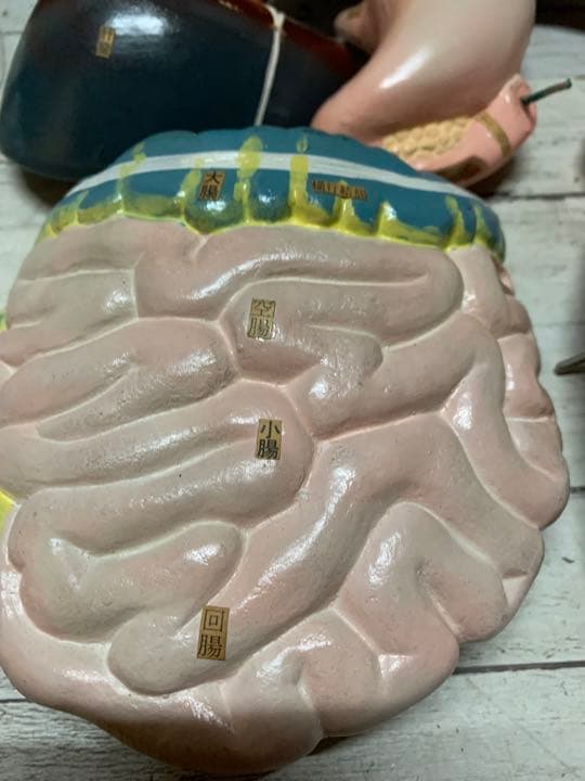 大型　木製　人体模型　標本　臓器　パズル　ディスプレイ　漢方　レトロ