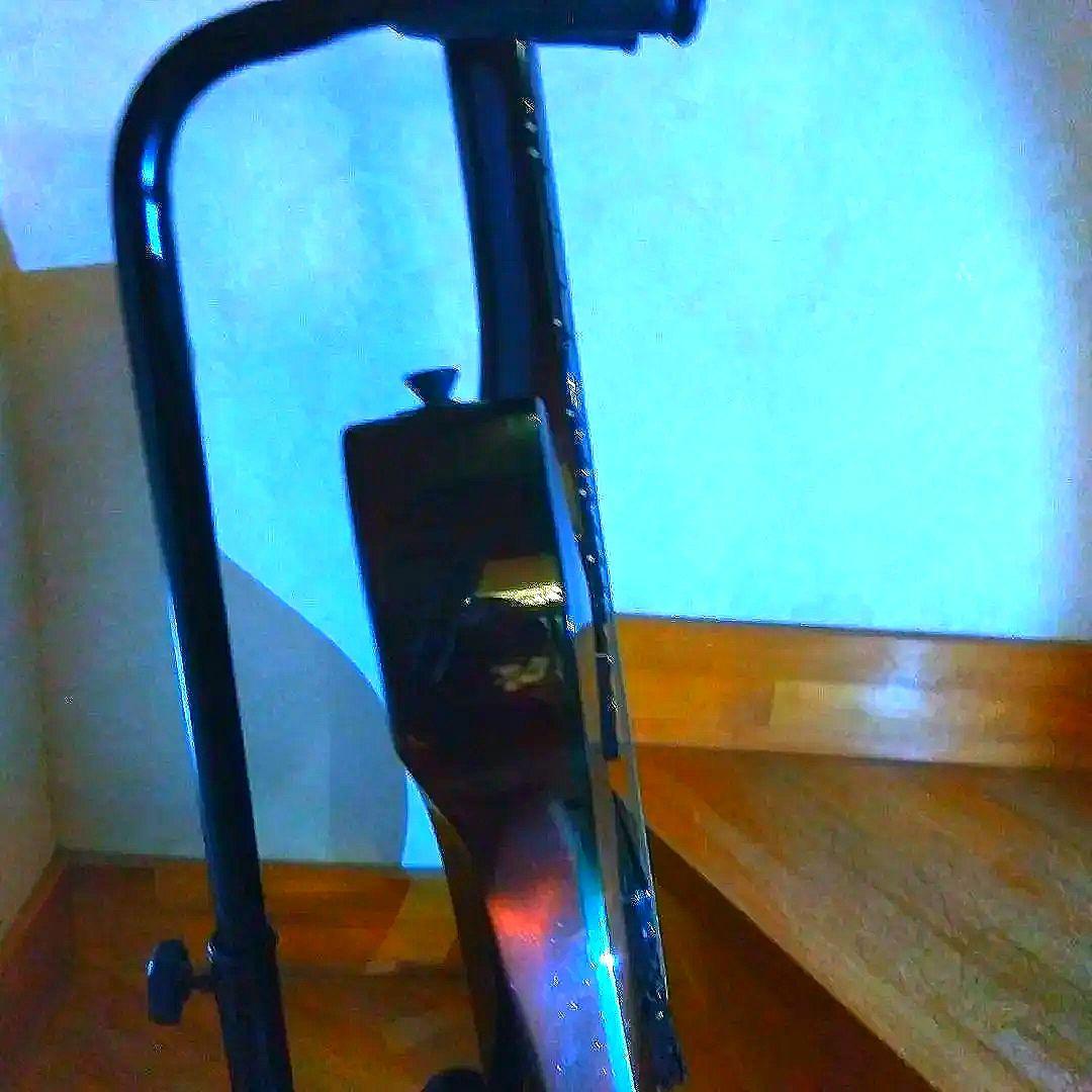 希少モデル ESPジャパンビンテージ　ケース付未調整品　海外高値　売切御免