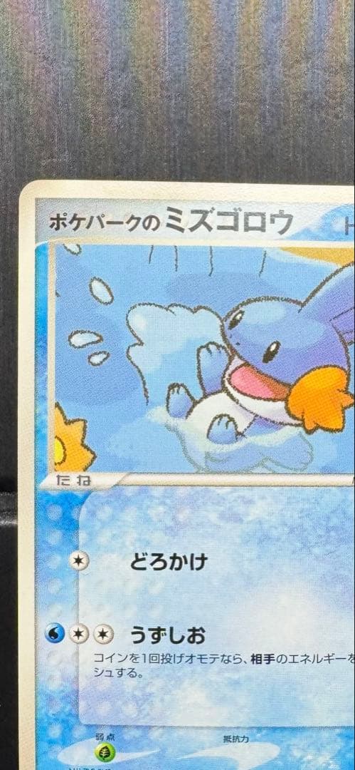 ポケパークのミズゴロウ ポケパークプレミアムファイル 003/009