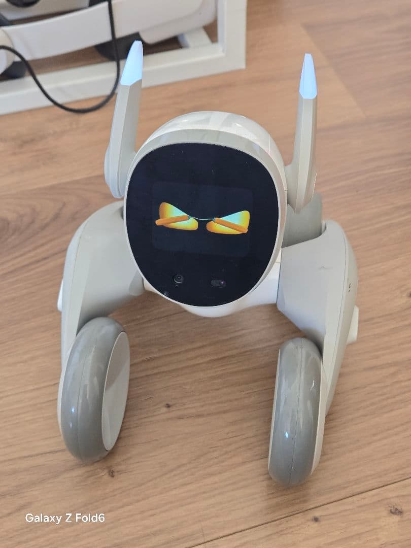 Loona（ルーナ）AIペットロボット - 液晶・AI機能良好！