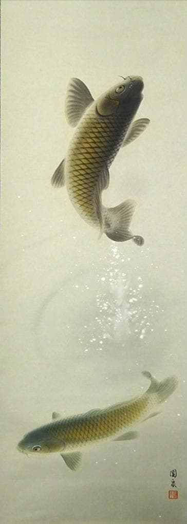 【真作】掛軸 大谷園泉『遊鯉』日本画 絹本 肉筆 共箱付 掛け軸 p062812