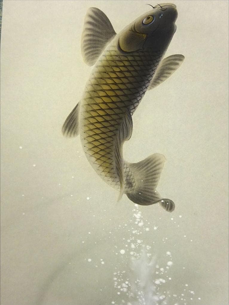 【真作】掛軸 大谷園泉『遊鯉』日本画 絹本 肉筆 共箱付 掛け軸 p062812