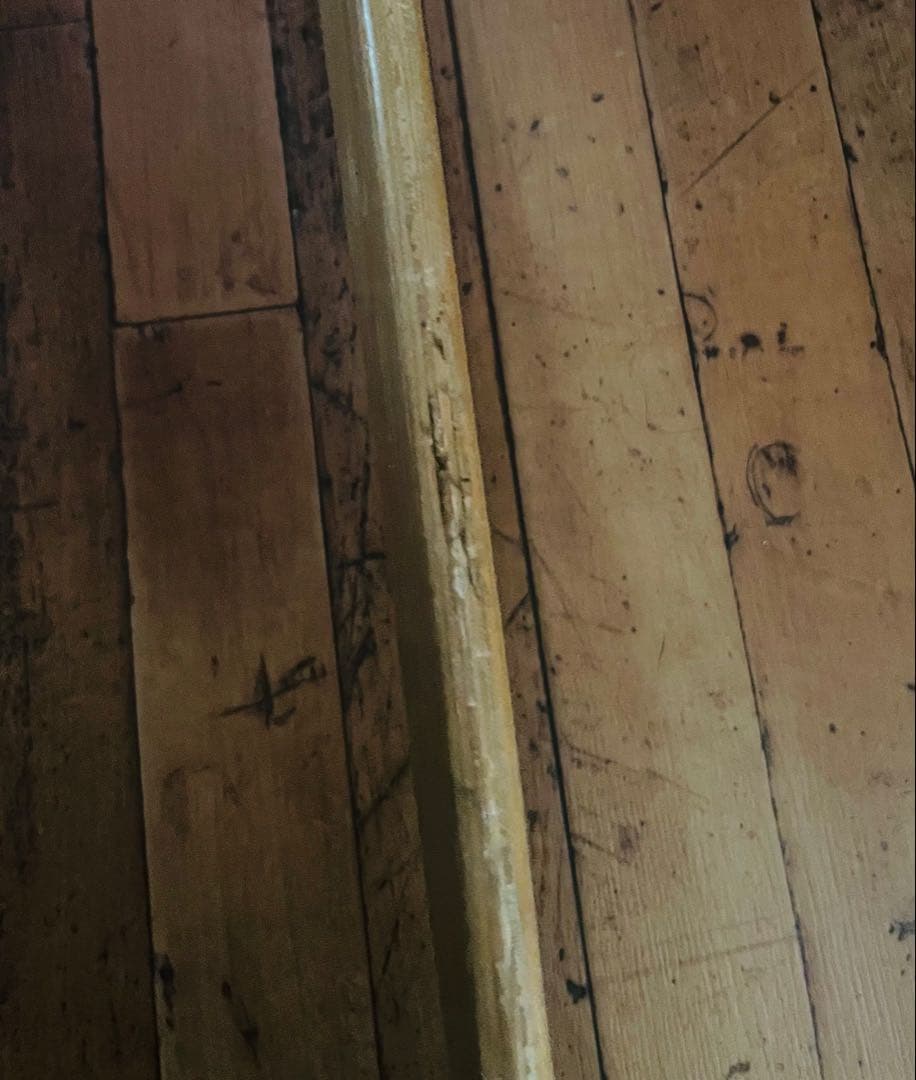 スケートボード nice skate america seismic surf skate