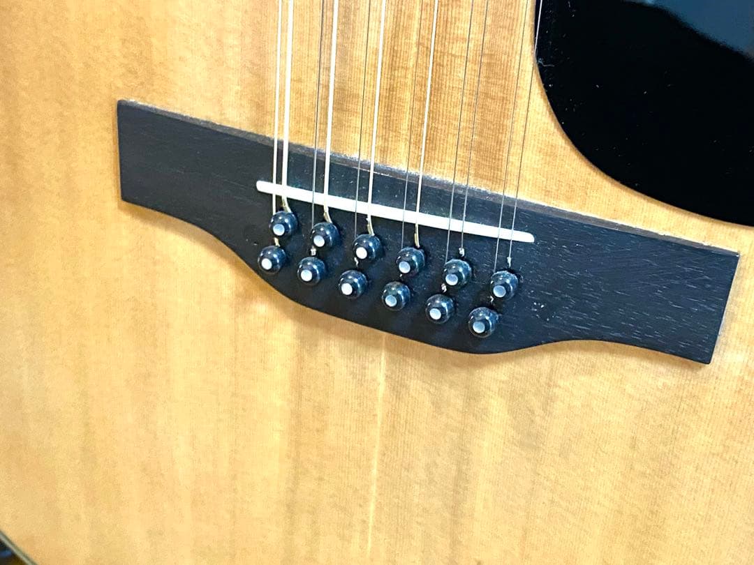 MORRIS B-50 モーリス 12弦