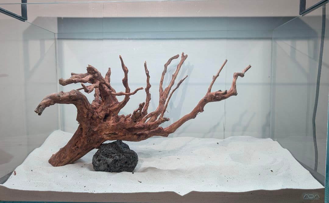 スマトラブランチウッド【SBC134】アクアリウム 水槽 流木 まとめ買い対応