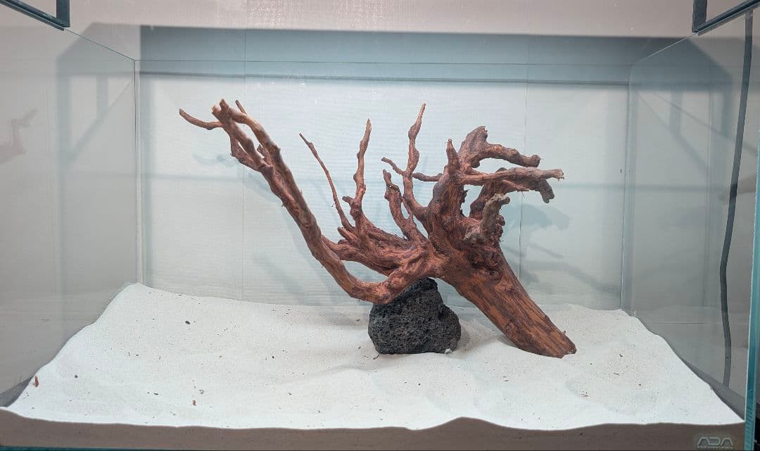 スマトラブランチウッド【SBC134】アクアリウム 水槽 流木 まとめ買い対応