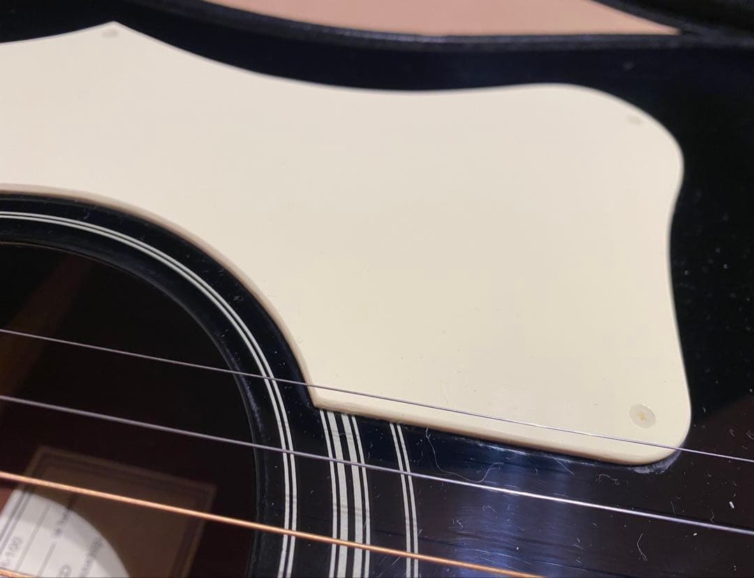 Epiphone DR-100 EB エボニー ハードケース付
