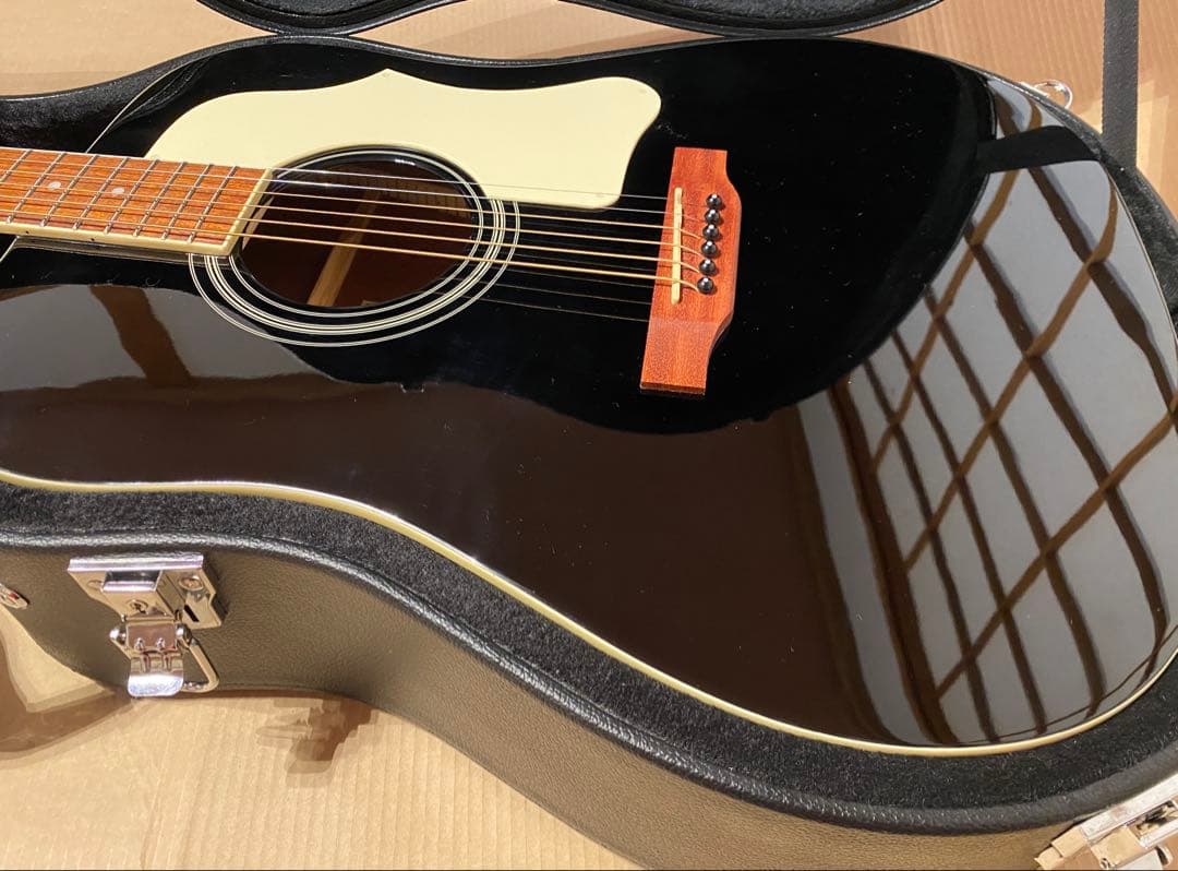 Epiphone DR-100 EB エボニー ハードケース付