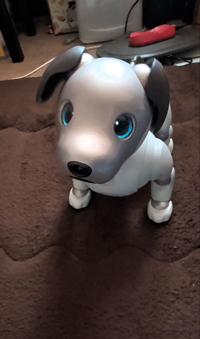 aibo 本体　値下げしました