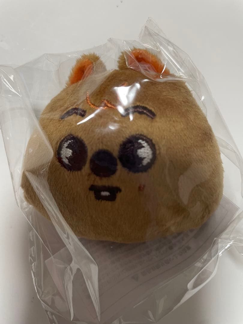 straykids スキズ skzoo ぬいぐるみマグネット コンプリート　新品