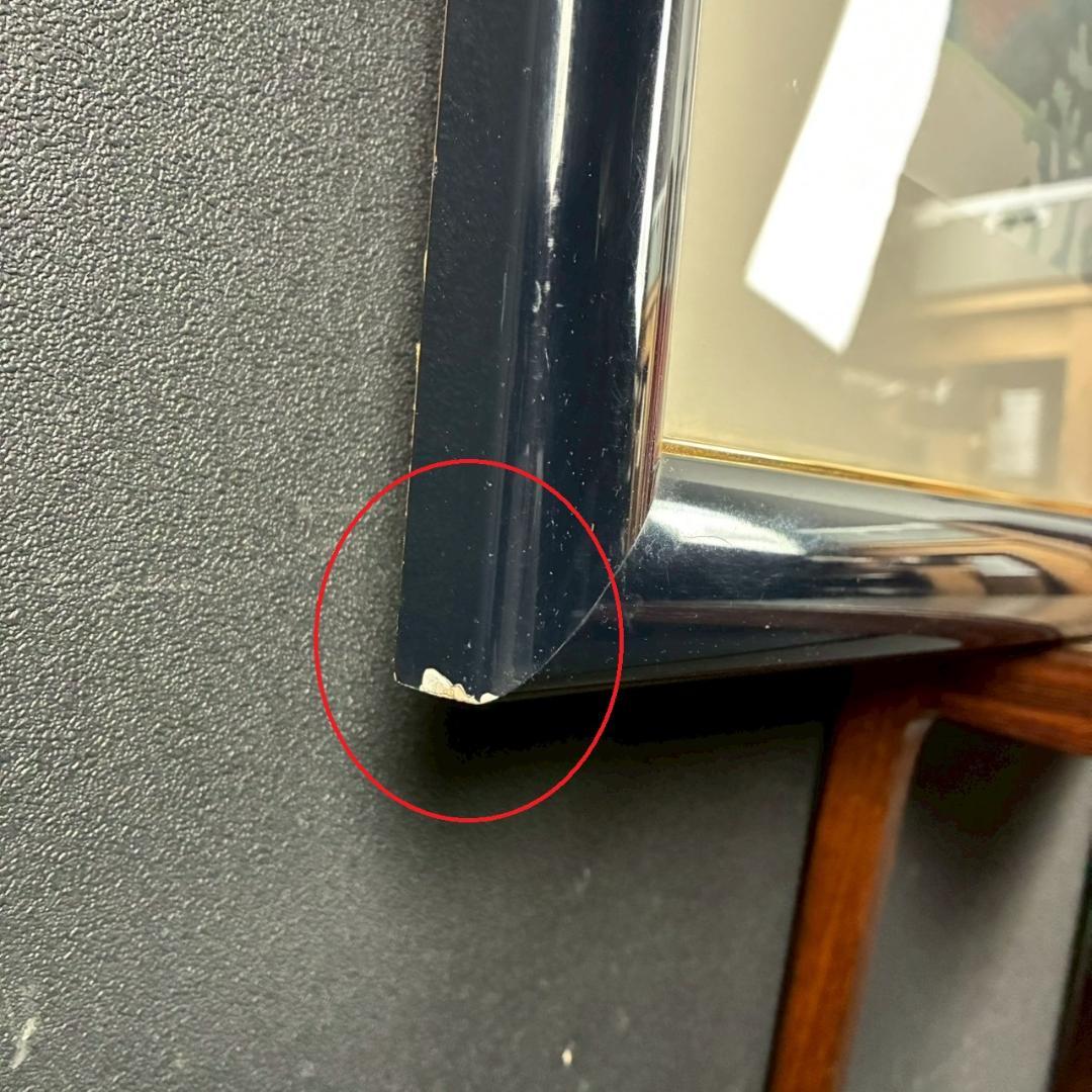 ジョアン・フック「サンゴ礁の熱帯魚」リトグラフ2点 大作 直筆サイン入 海