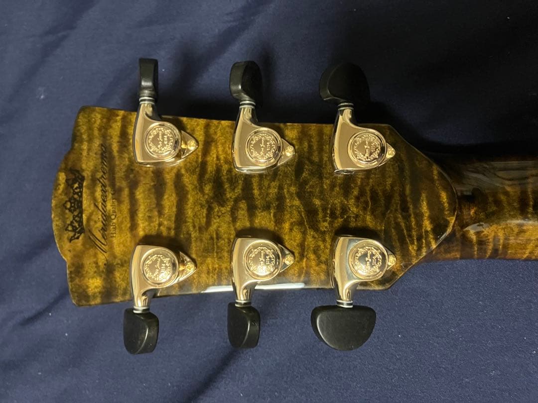 ギター Merida / WAVE