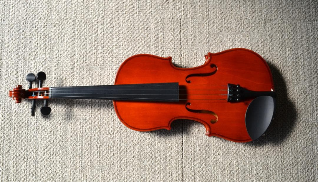 【未使用】ノンブランド練習用　バイオリンセット4/4　格安