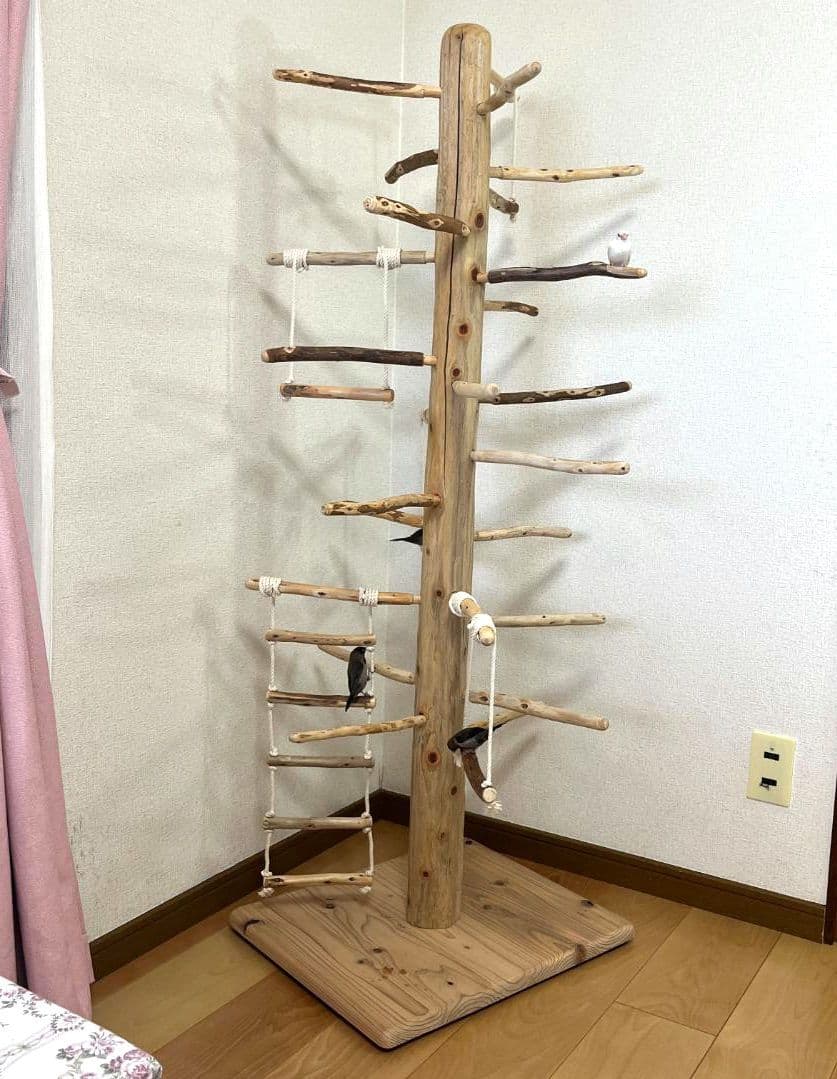 【中型鳥用】ブランコ＆はしごで楽しいバードアスレチック