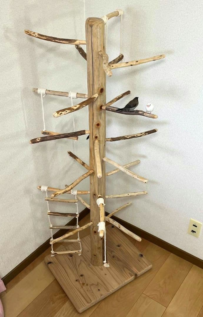 【中型鳥用】ブランコ＆はしごで楽しいバードアスレチック