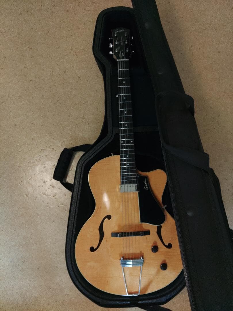 Godin (ゴダン) ： 5th Avenue Jazz / フルアコ・ギター