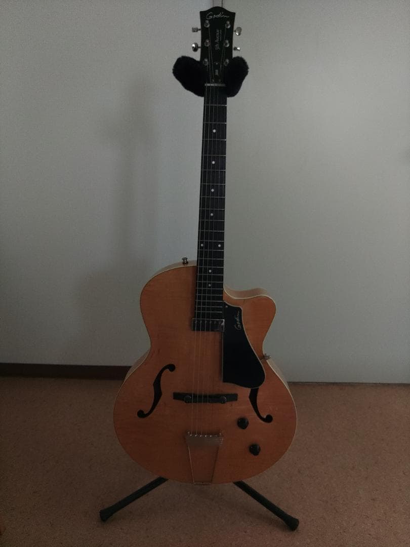 Godin (ゴダン) ： 5th Avenue Jazz / フルアコ・ギター