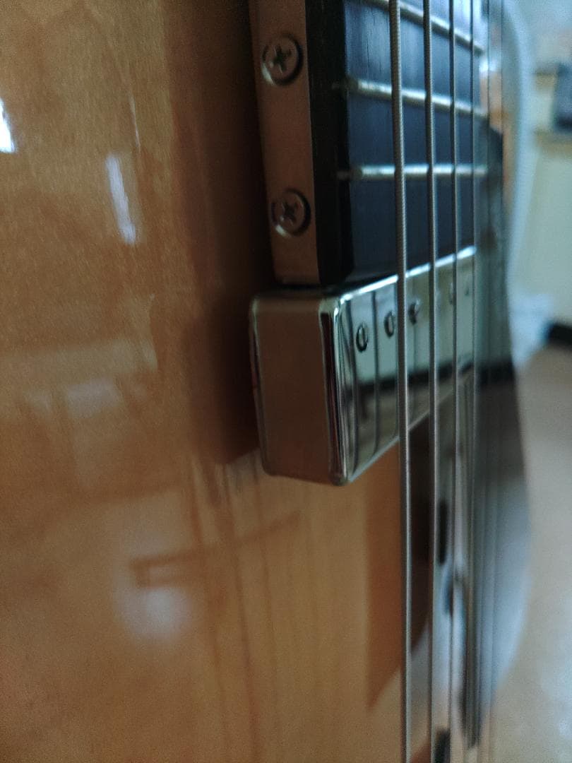 Godin (ゴダン) ： 5th Avenue Jazz / フルアコ・ギター