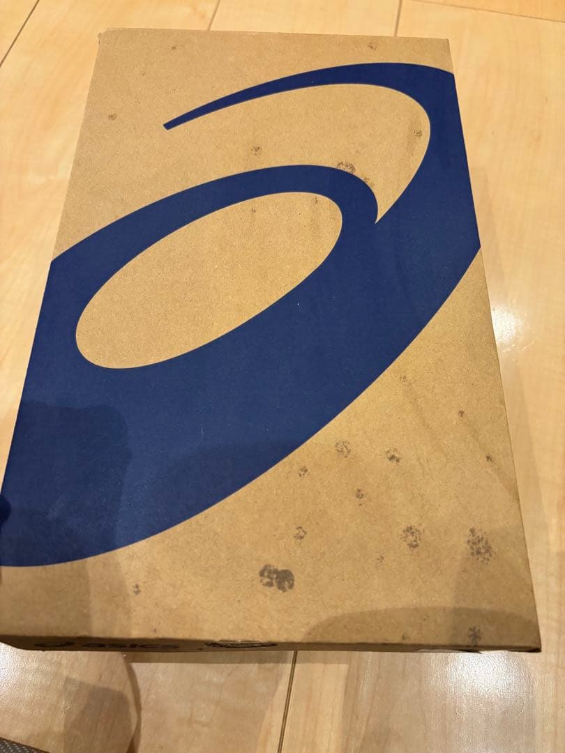 アシックスDS LIGHT X-FLY 6 26cm グリーンゲッコー