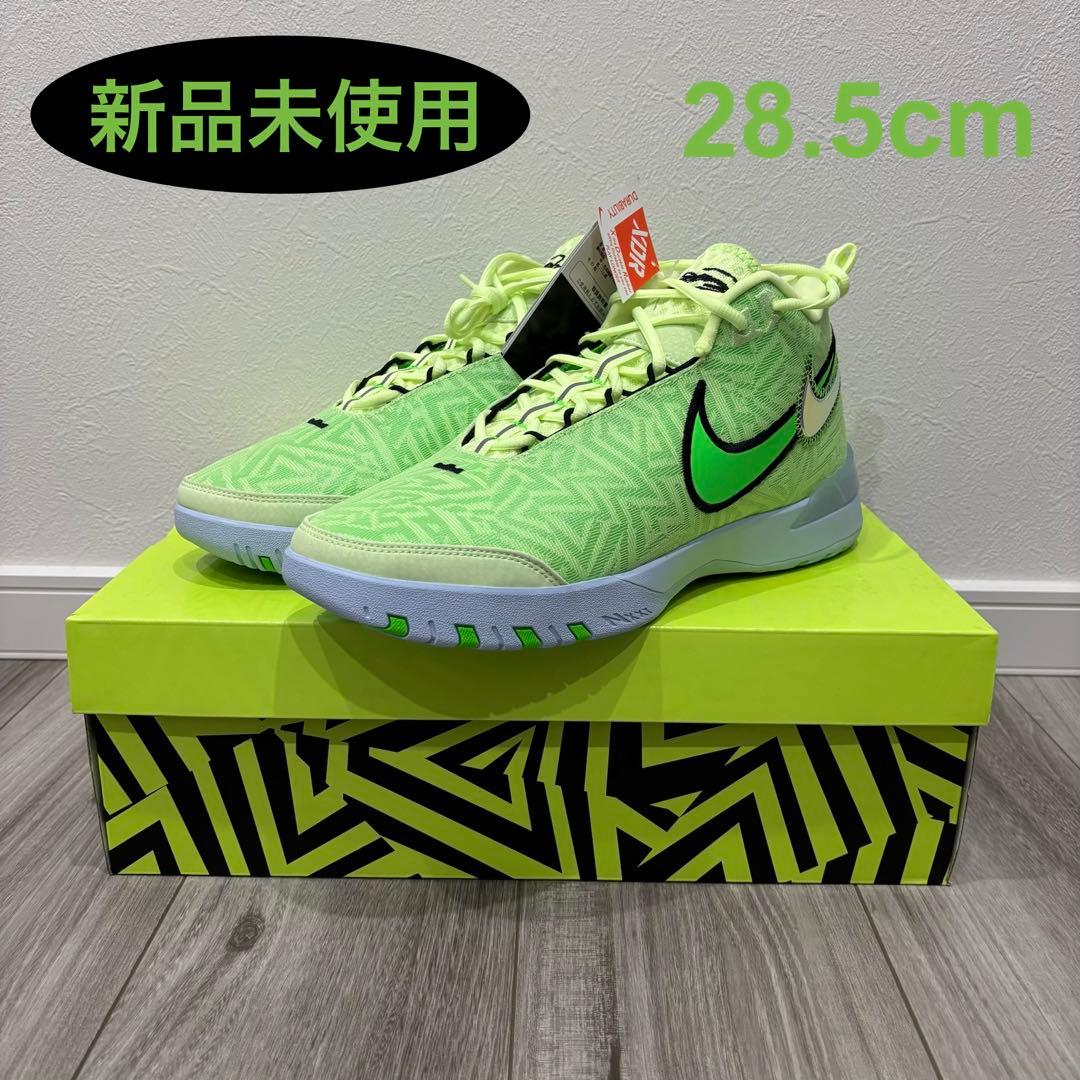 レブロン NXXT ジーニサス EP