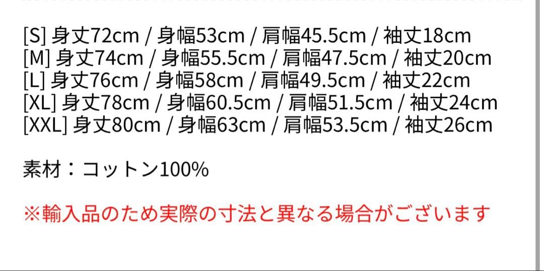 LadyGaga 2026 The MAYHEM Ball 公式Tシャツ L