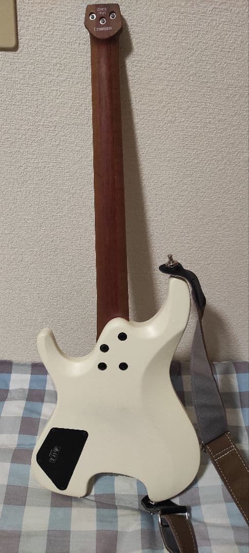 [サルナイ]Ibanez ichi10