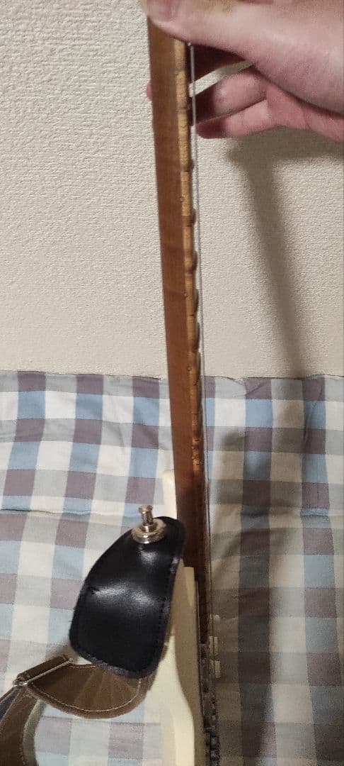 [サルナイ]Ibanez ichi10