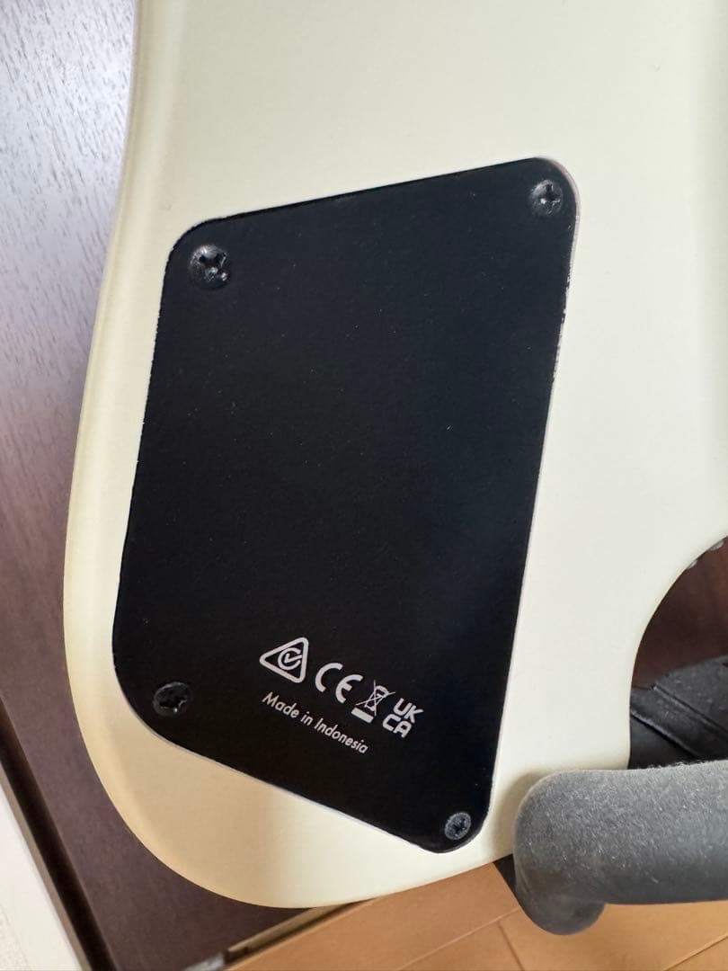 Ibanez ICHI10 【nagomi97様用】