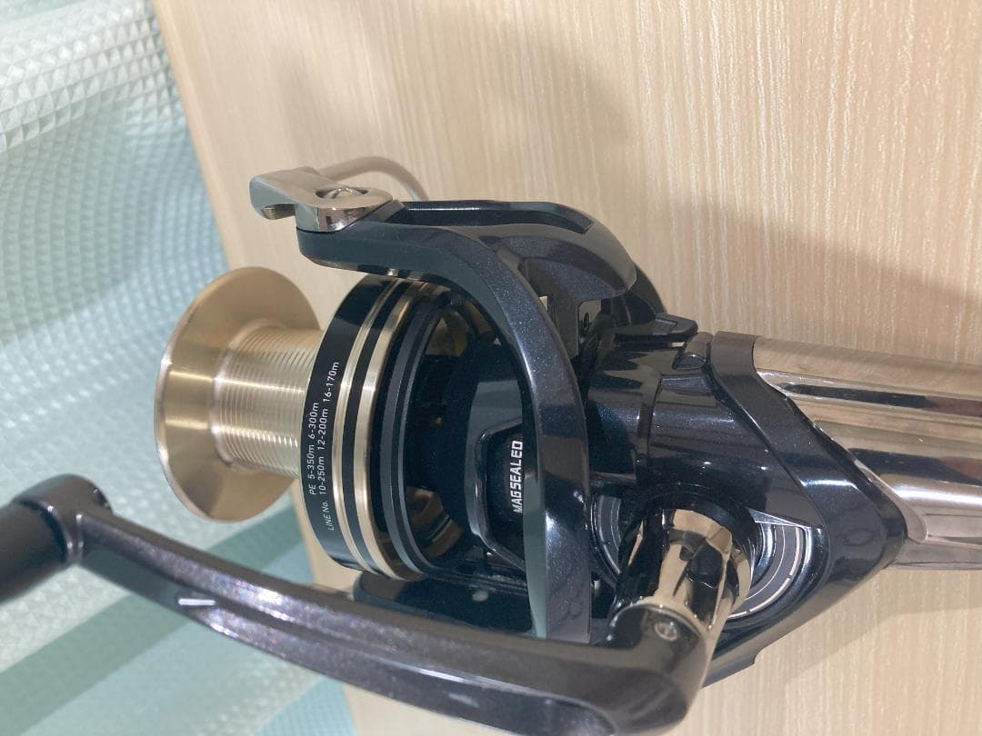 ダイワ 17 WINDCAST ウインドキャスト 6000