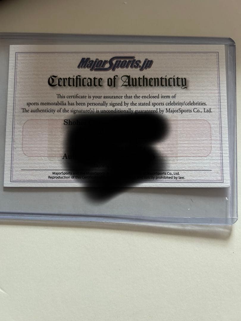 オオタニ翔平 & アーロン・ジャッジ ボブルヘッド