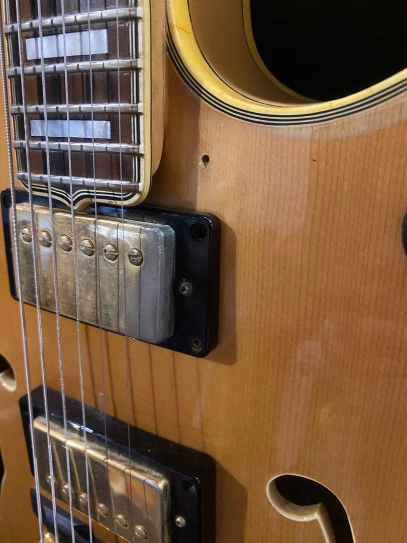 Greco / BR-110N Birdland ステッカーナンバードPAF搭載