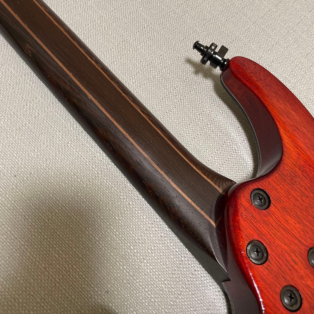 アイバニーズ S61 AL Axion Label