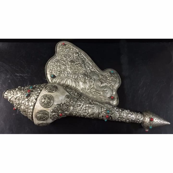 ◆チベット密教法具　法螺貝（シャンカ）-BS