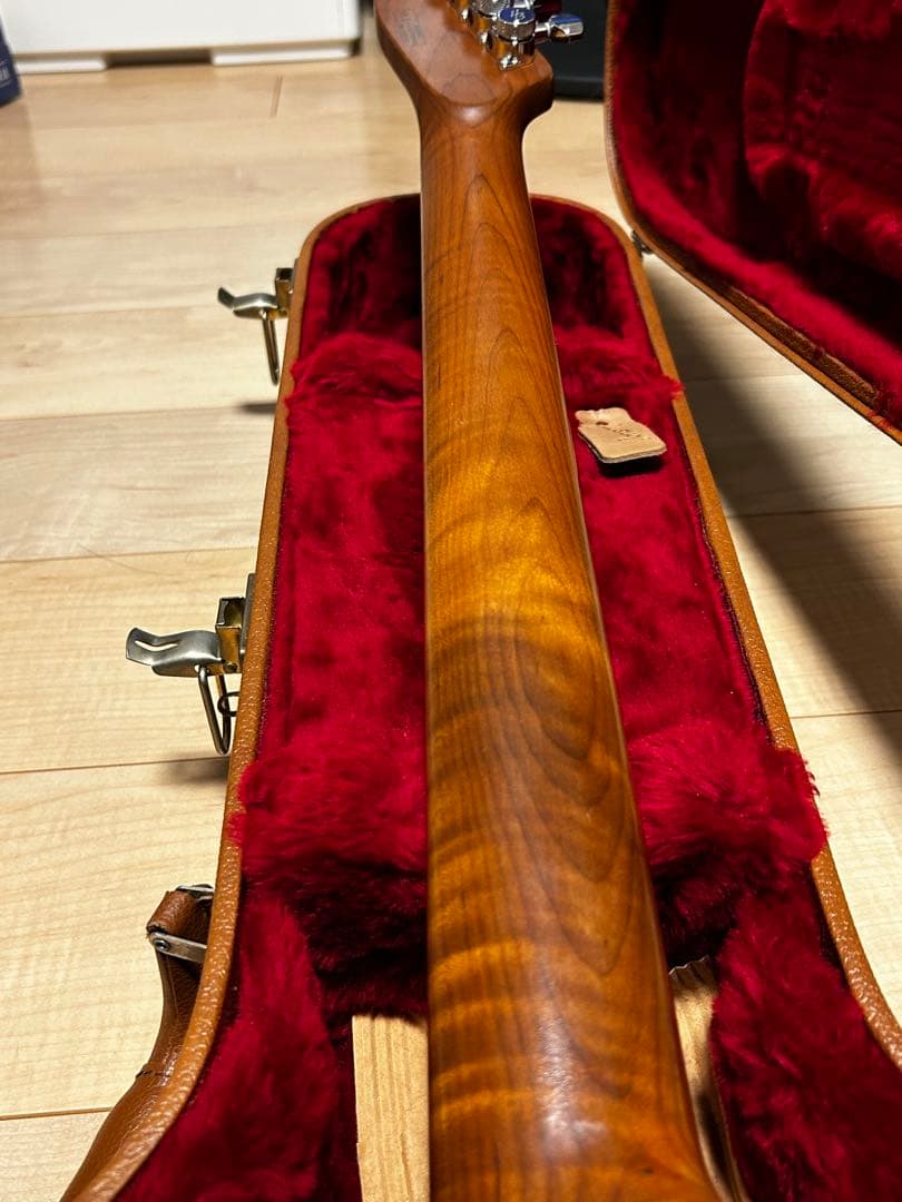 ギター Harley Benton Fusion-T HH Roasted