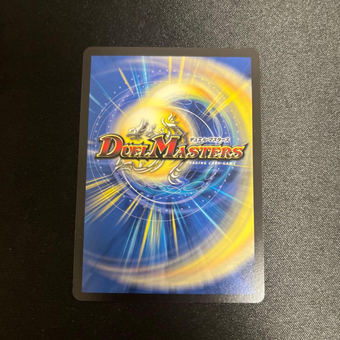 パイアスパトロールポリス