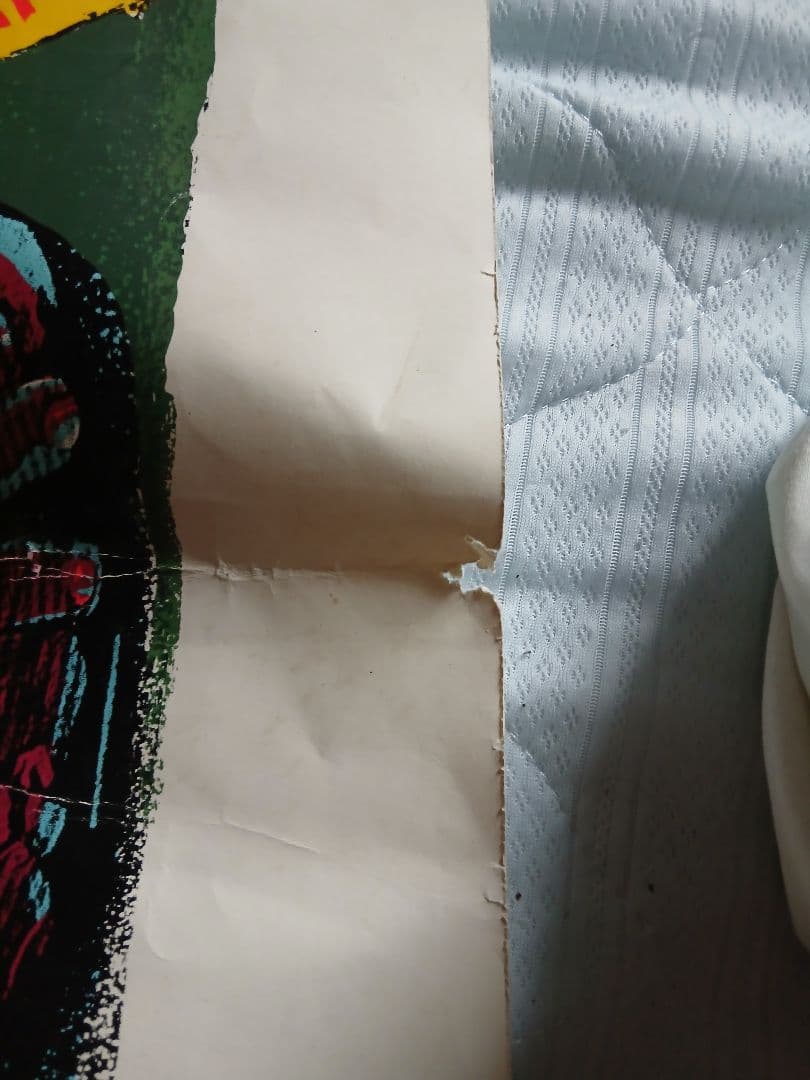 状態悪いですTAZ Misfits 1996 限定ポスター サイン入り