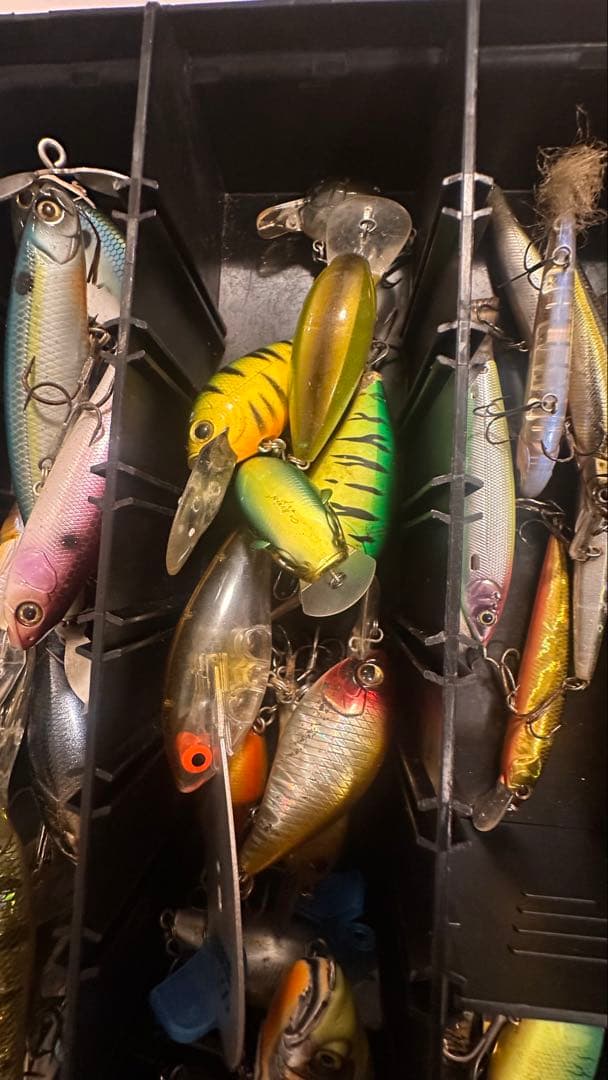 バス釣り引退セット 早い者勝ち！ シマノ ダイワ