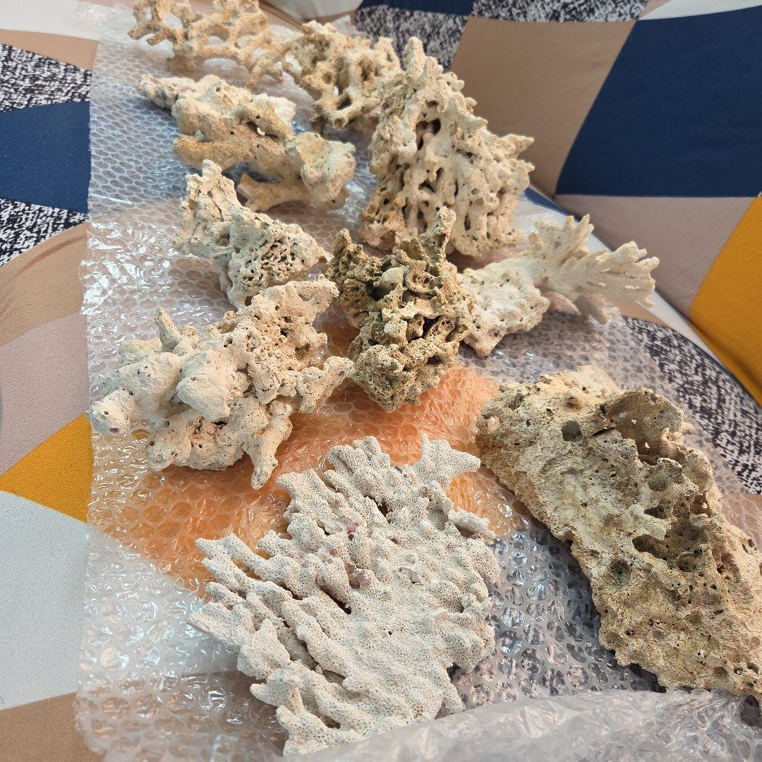 値下げ　水槽用サンゴ石セット　ライブロック　海水　淡水