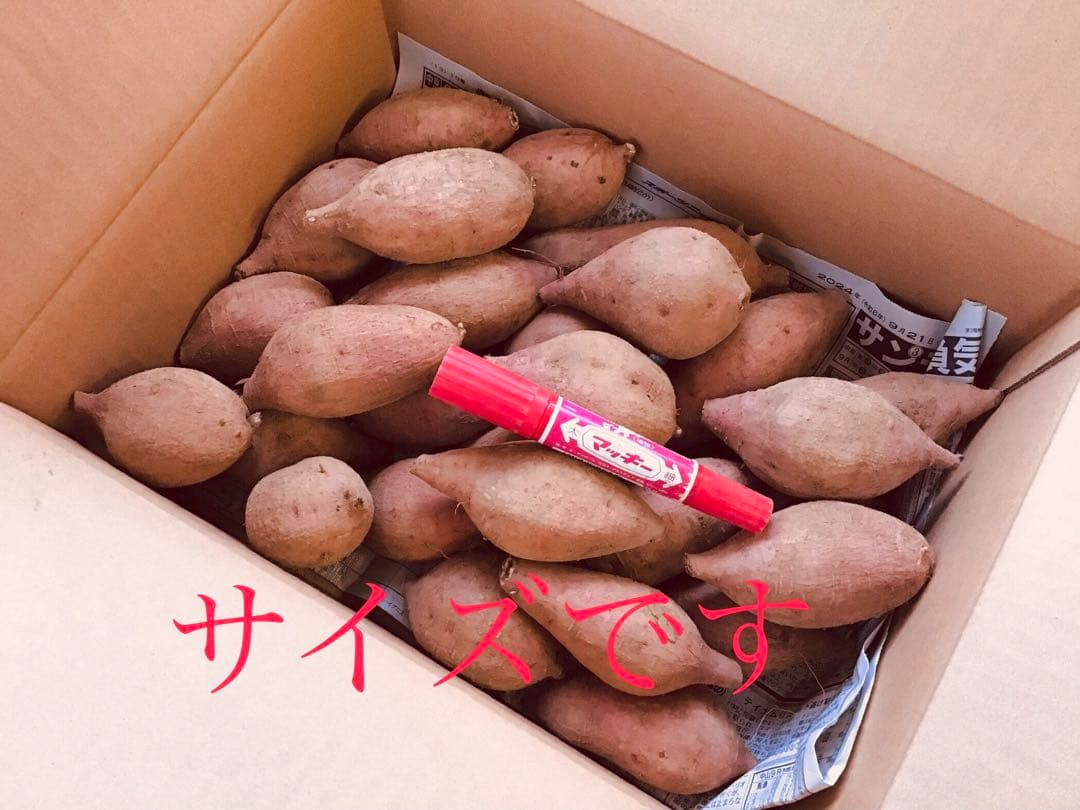 さつまいもの王道　安納芋種子島産　MSのサイズ20kg 焼き芋に　#安納芋　14