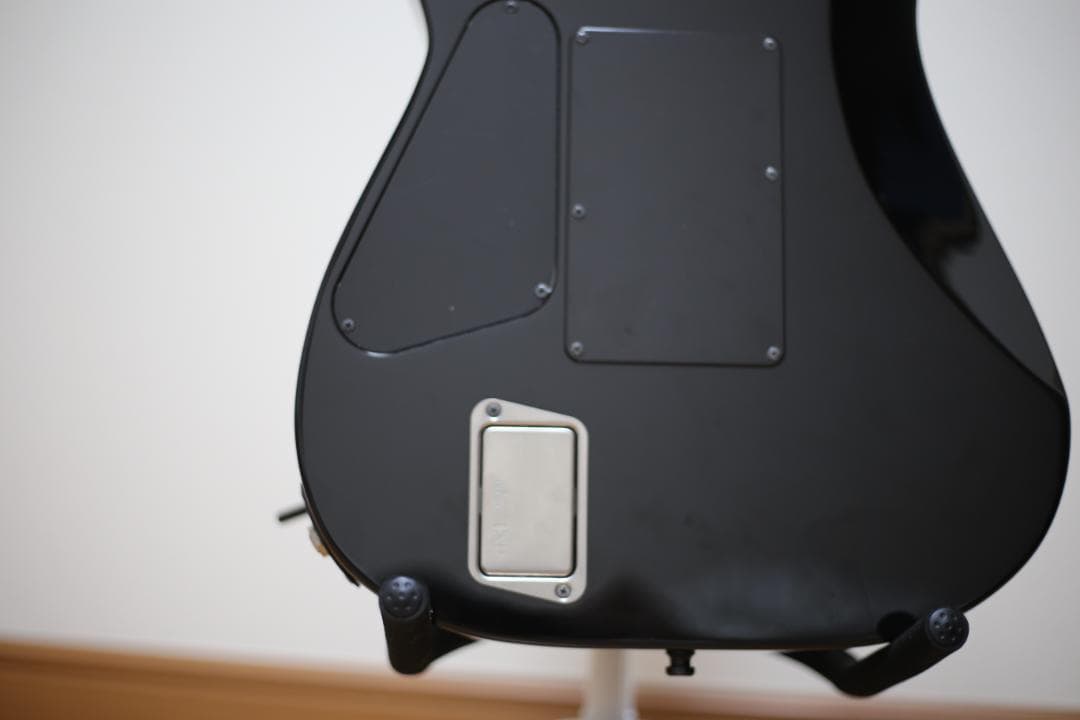 ギター ESP SIGNATUERE SERIES E-2 EV-7