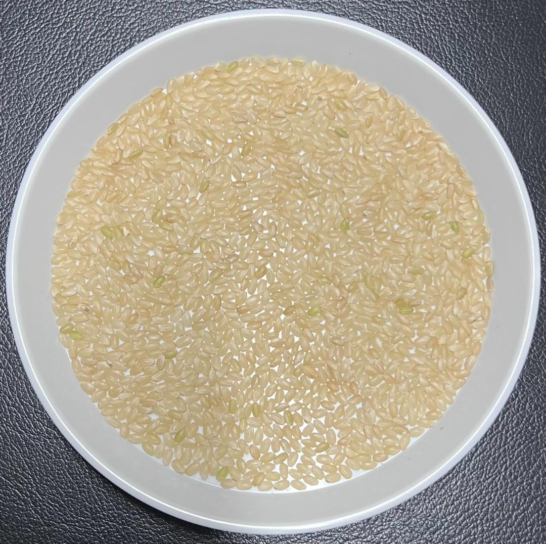 送料無料 一等検査 玄米 令和7年産 京都 丹後 コシヒカリ 20kg