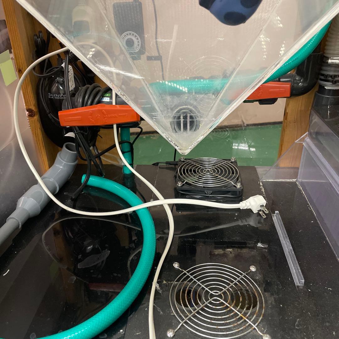 オーバーフロー水槽 引き取り限定