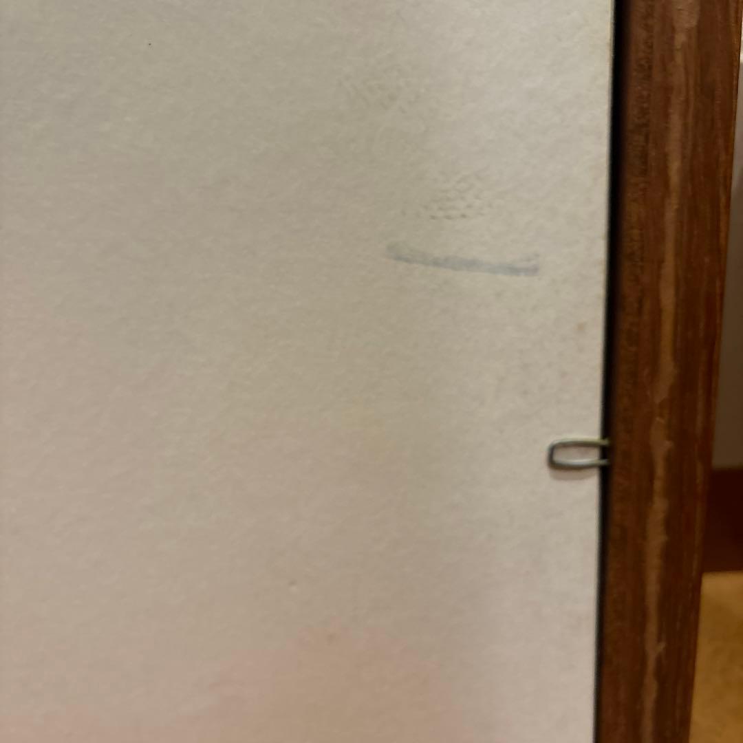 希少　ラパラ　絵画　トラウト　ブラックバス　J-7 ルアー　フィッシング