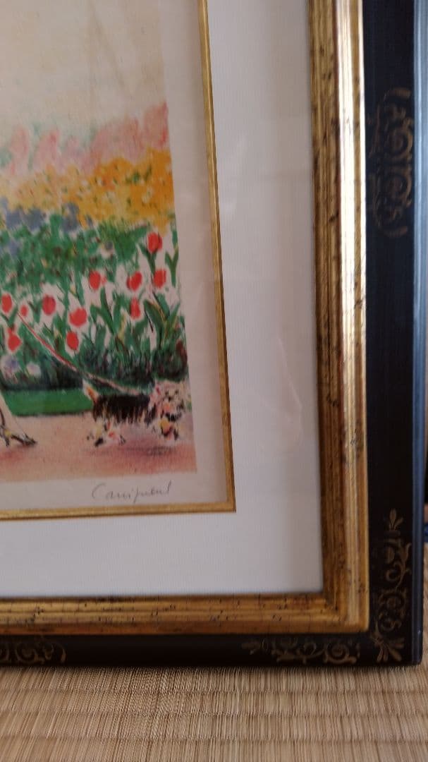 カシニョール　犬の散歩