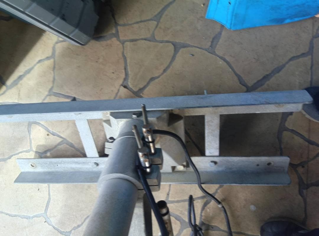 ヤングネットラインホーラ