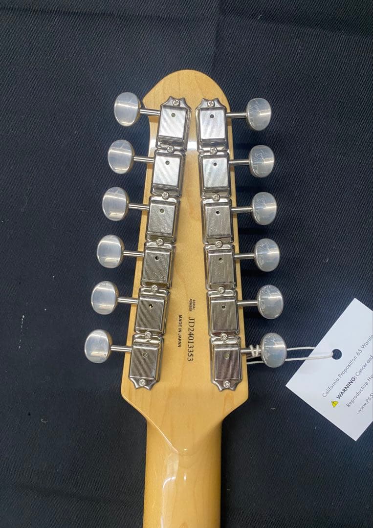 Fender 12弦ギターのストラト★ソフトケース付★