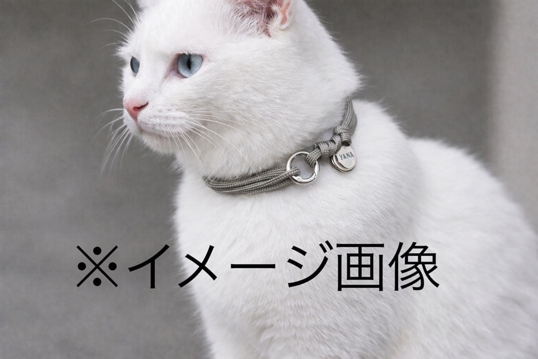 着用イメージ画像